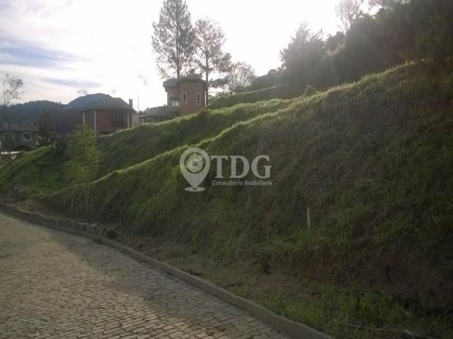 Loteamento/condomínio à venda em Vargem grande, Teresópolis cod:TE00005 - Foto 16