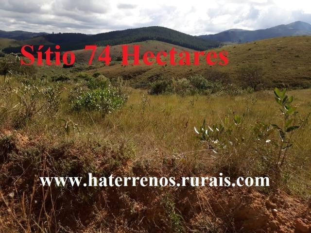 Casa Em Itatiaia RJ - Sítio 74 hectares - Foto 11