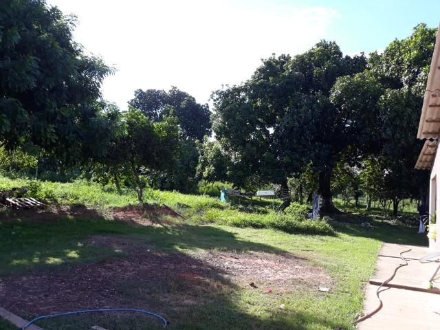 Vendo Sitio no distrito de Várzea grande 5 km no centro de Varzea grande - Foto 9
