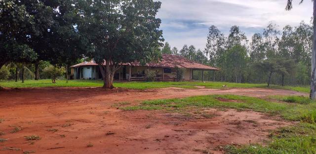 Fazenda de 1.200 há em Juscimeira - MT - Foto 2