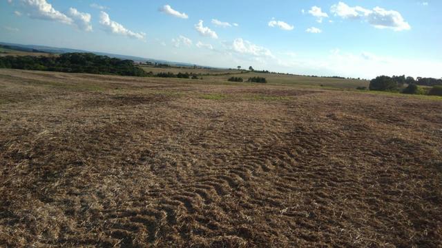 234 Hectares - 97 Alqueires - Planta 52 Alqueires - Palmeira - Foto 13