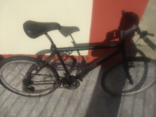 Bicicleta Olx Florianópolis