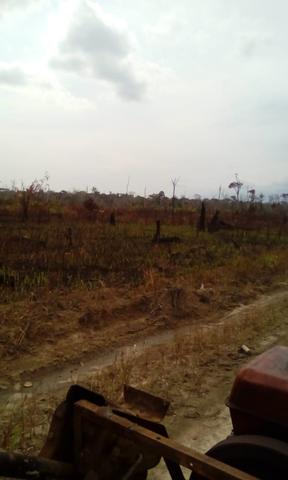 Vendo área de fazenda na Br 319 AM próximo a Porto Velho/Ro - Foto 3