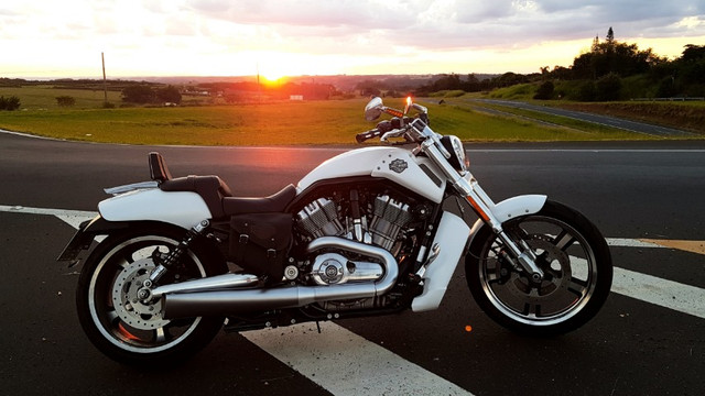 Harley Davidson V-Rod Muscle Impecável 15 Mil em Acessórios Baixo KM - Foto 3