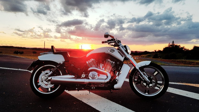 Harley Davidson V-Rod Muscle Impecável 15 Mil em Acessórios Baixo KM