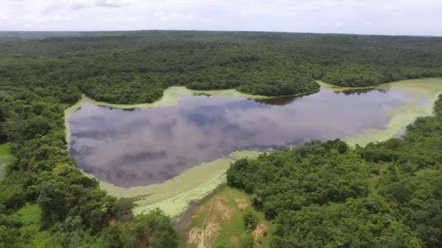 Fazenda em Piracuruca-PI