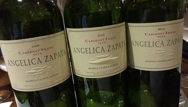 Vinho da Argentina Angelica Zapata Alta Cabernet Franc - Foto 5