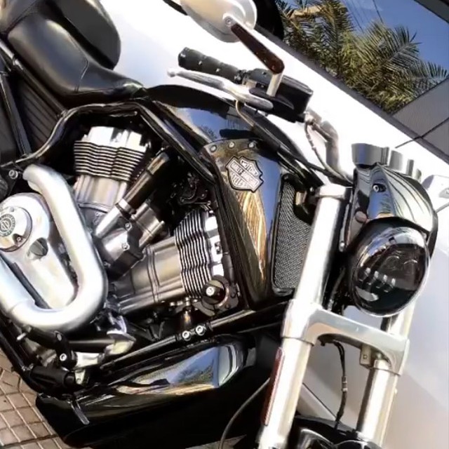 VROD MUSCLE TOP