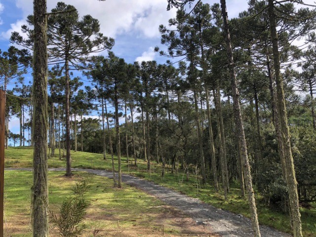 Chácara com casa à venda/Urubici-SC - Foto 2