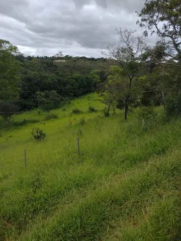 Fazenda em Pará de Minas florestal. - Foto 5