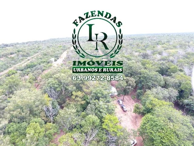 Chácara 6.500M² Beira Lago de Palmas - Foto 3