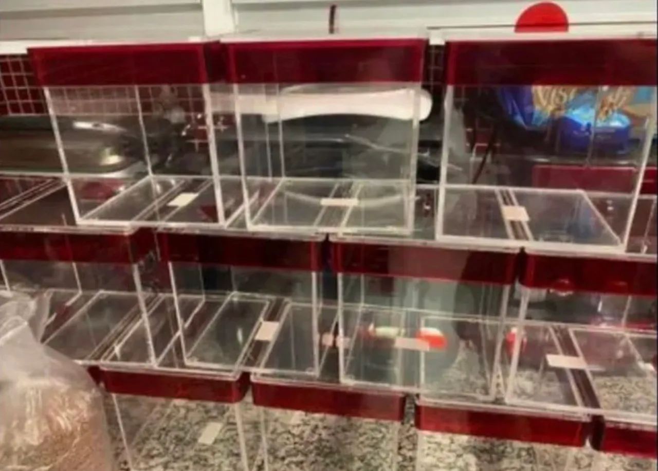 Pote caixa acrílico grosso 4mm para doces buffet sorvete granola cereais chá - Foto 2