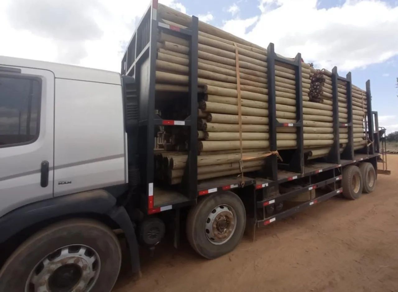 EUCALIPTO NATURAL, TRATADO. LENHAS DE ALGAROBA etc. - Foto 4