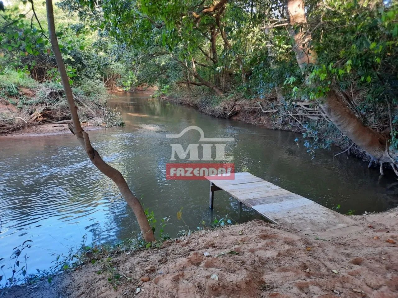 Fazenda em Porto Nacional - TO 333 Alq. (1.611 Há). - Foto 5