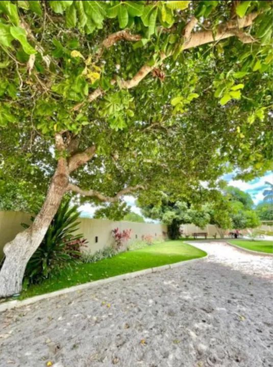 Sítio Casa de Campo Figueiras   - Foto 8