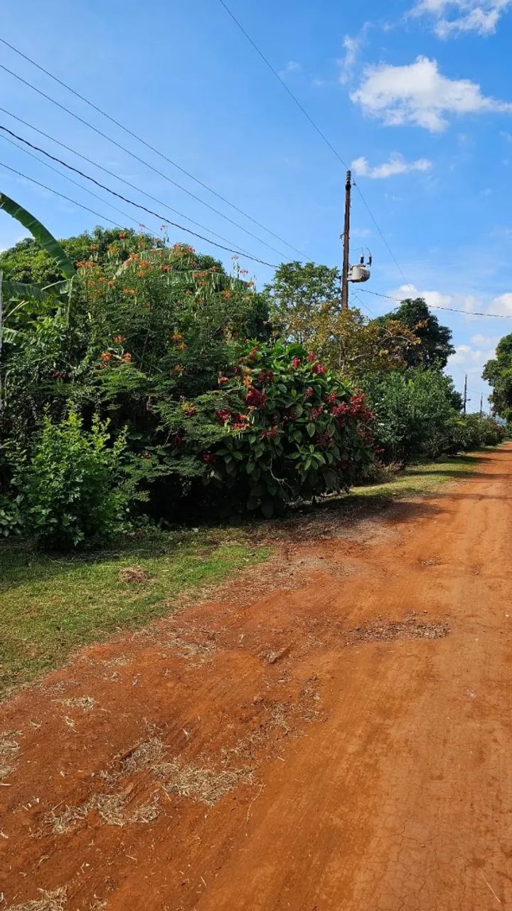 Chácara em Maringá , 2.000,00 m2, Porta das Flores , a 1.000 metros do asfalto. - Foto 5