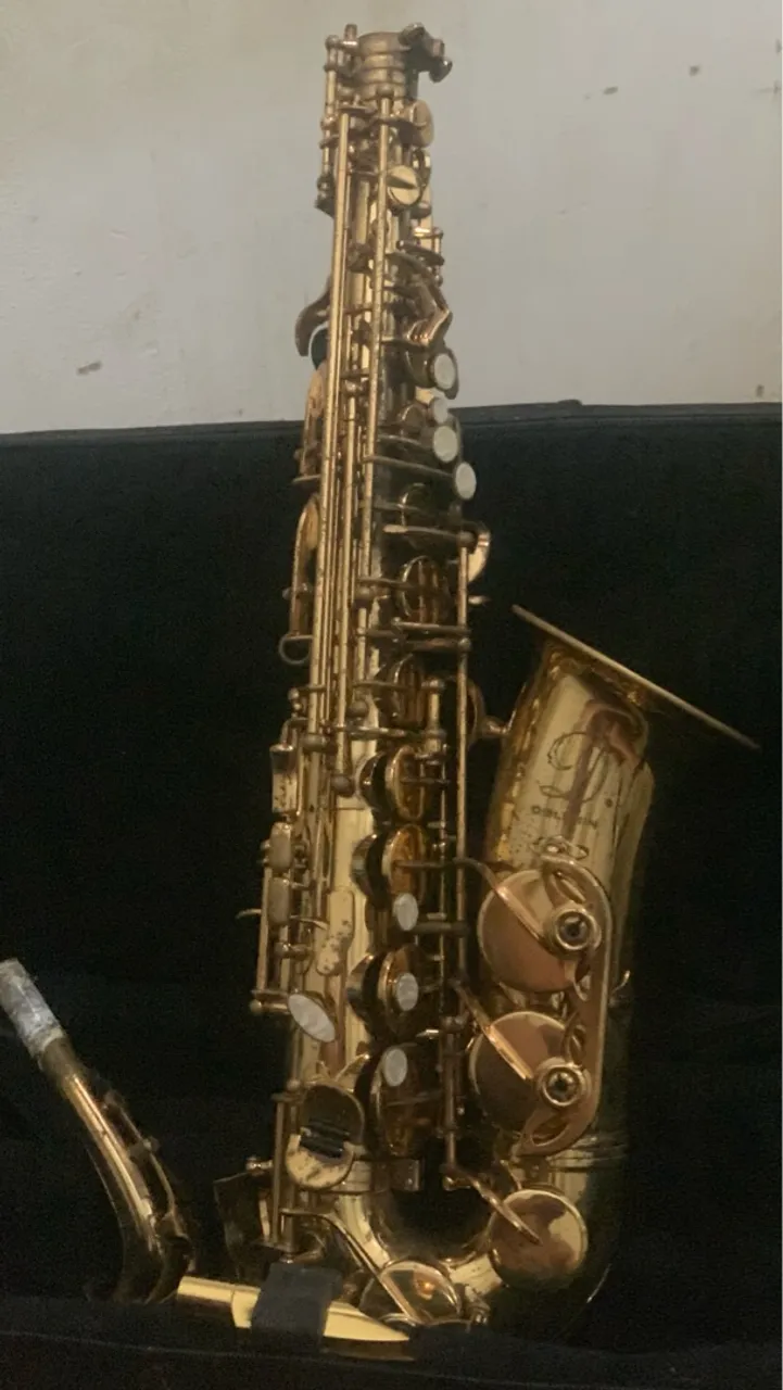 Saxofone Alto Dolphin