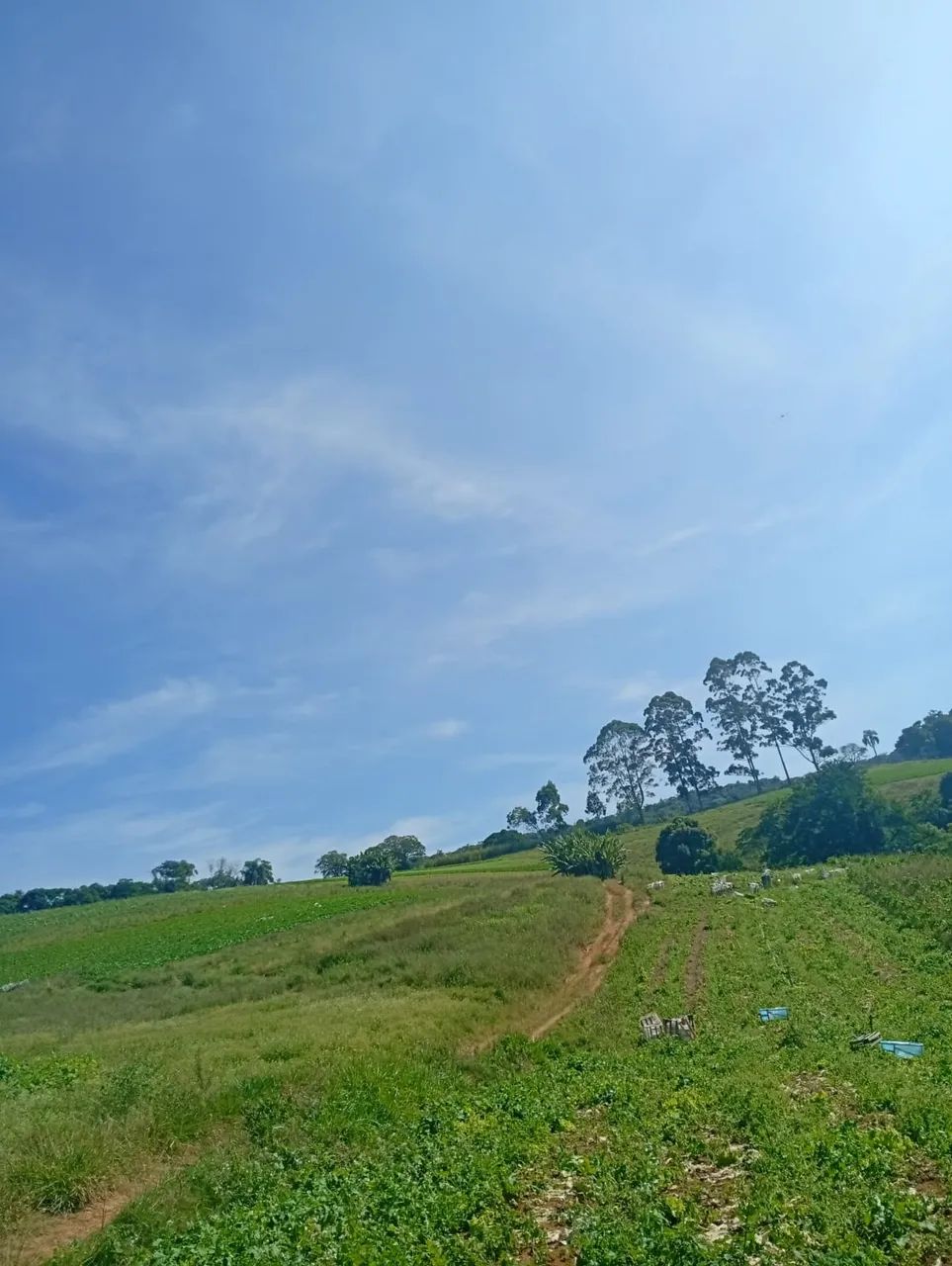 Chácara ou Casa de Campo? Você Decide com 500m² em Ibiúna! - Foto 5