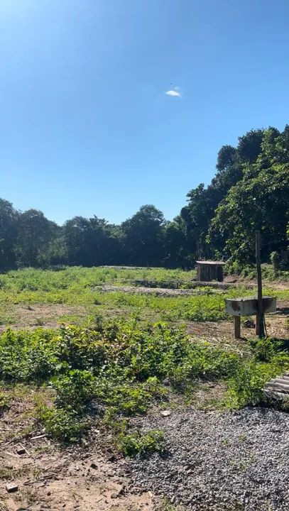 Terreno com área verde em local tranquilo - Foto 2