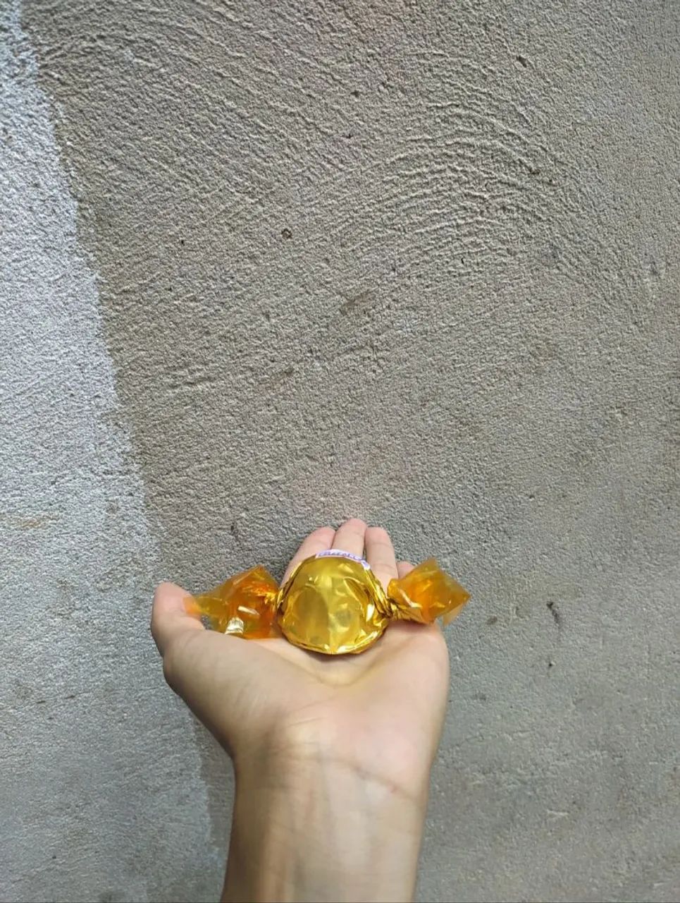 Trufas para revenda 