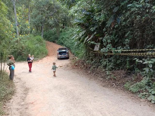 Foto - Mairiporã - Samambaia
