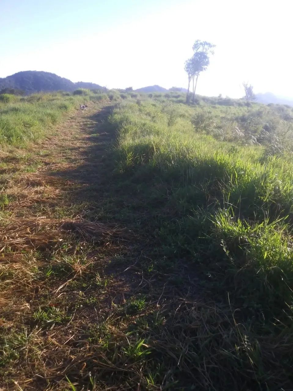 .Oportunidade única. chácara em Guaratinguetá - Foto 11