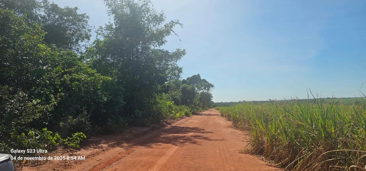 Fazenda de cana  - Foto 4