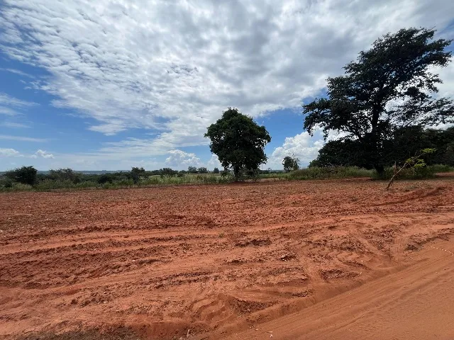 ALUGA-SE TERRENOS DE 10.000m2