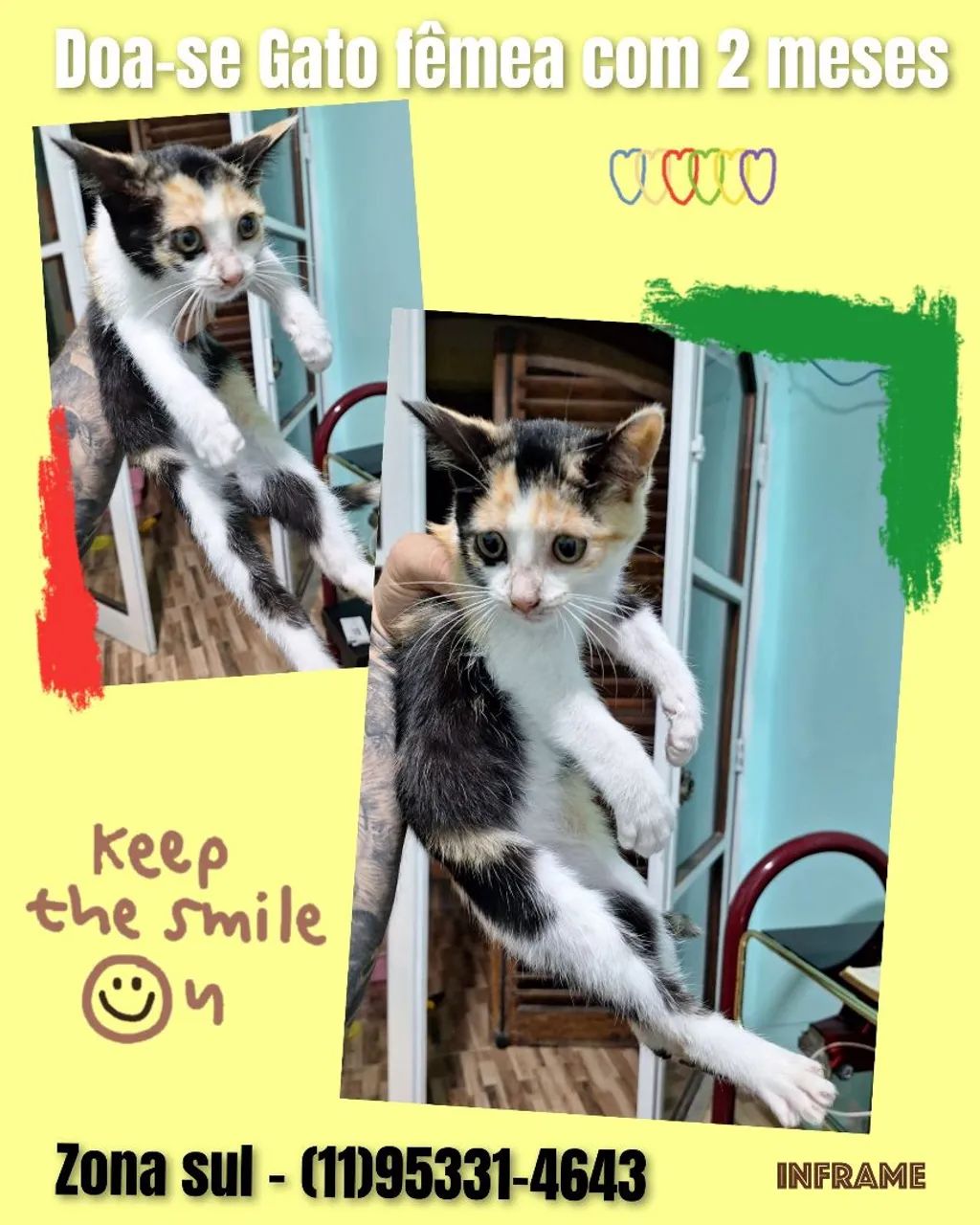 2 Gatinhas Fêmea com 2 Meses