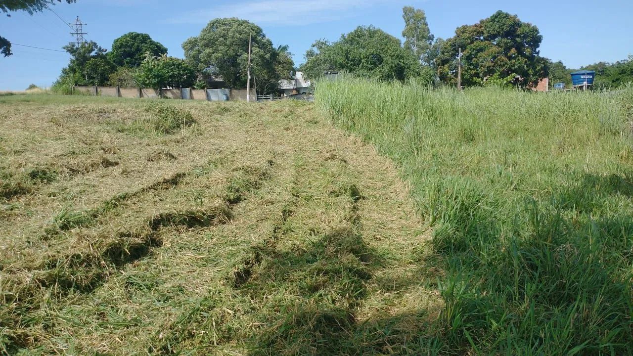 Terreno com área verde e fácil acesso