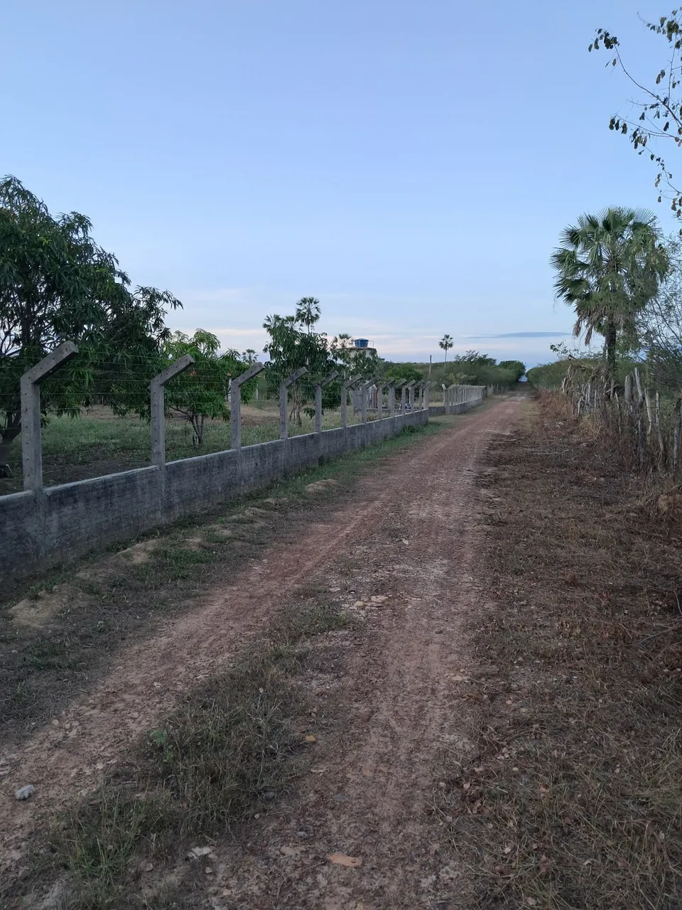 Vende-se uma chácara em São Miguel do tapuio pi