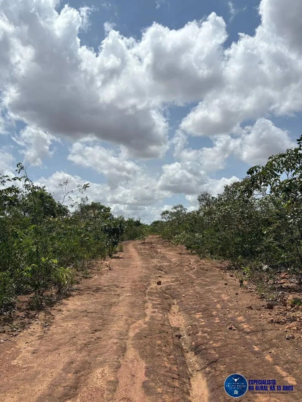 Terra de 102,5 Hectares na região de Alto Parnaíba-MA! Região de Soja - Foto 3