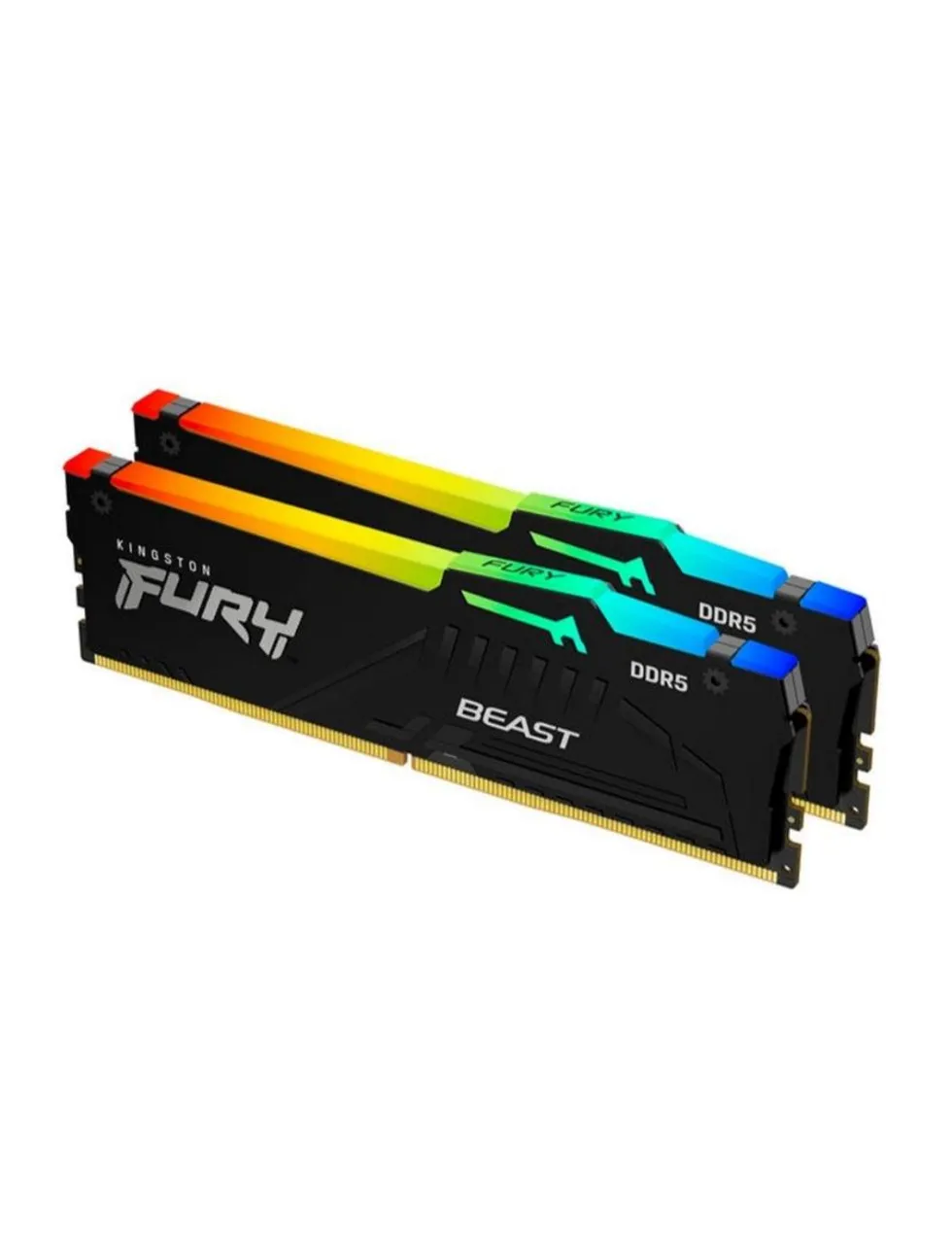 LEIA- RAM Kingston Fury Beast DDR5