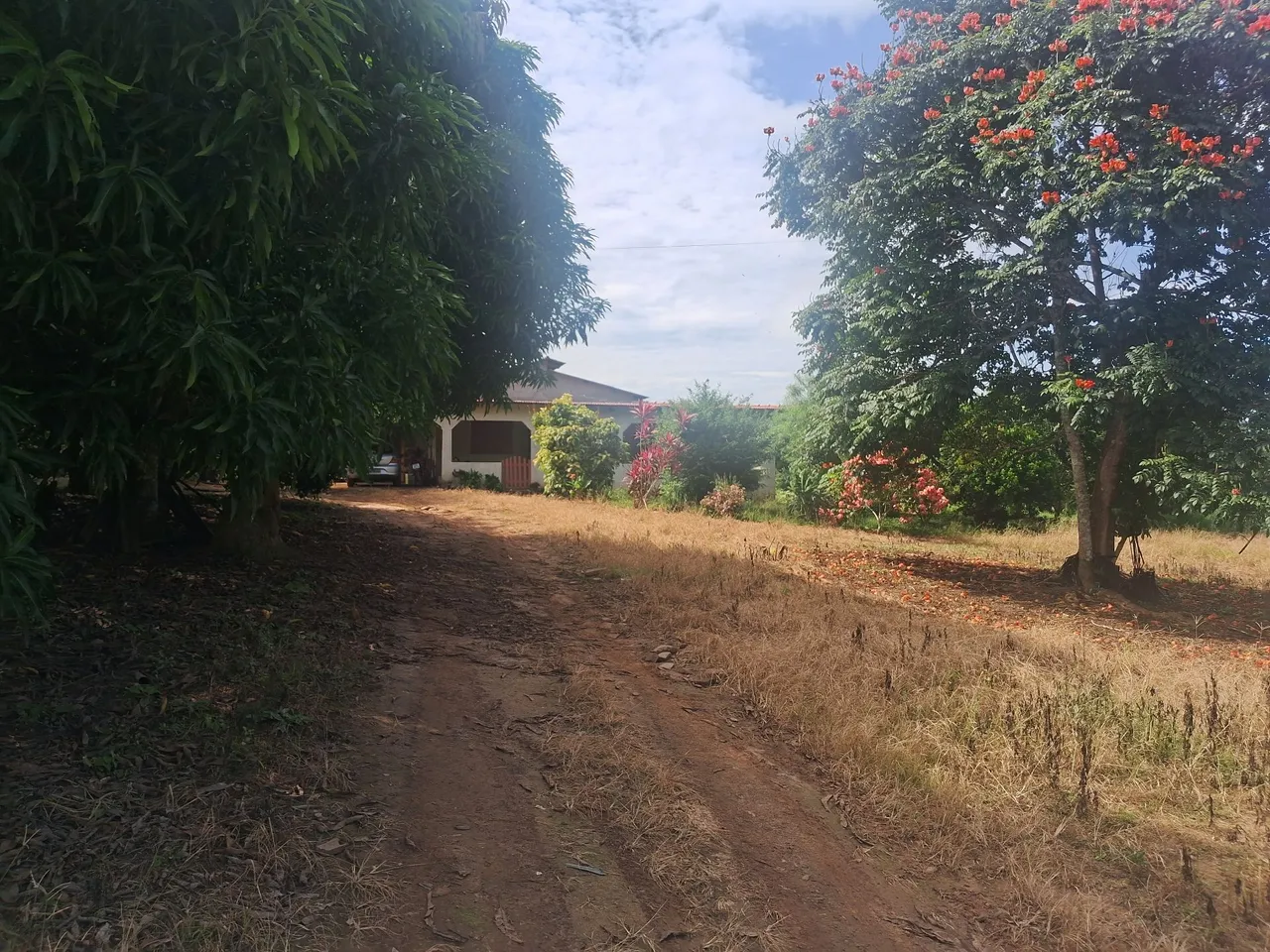 Chácara de 220x100 aceito carro ou casa como parte