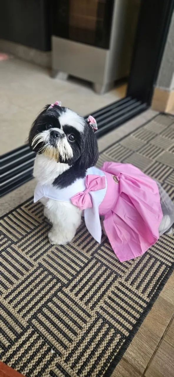 PRECISA DE COSTUREIRA - FACÇÃO  - Foto 4