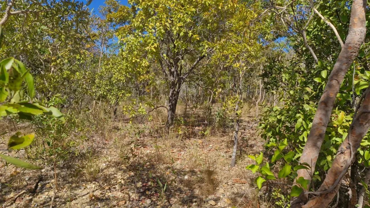 Fazenda Primavera - Foto 4