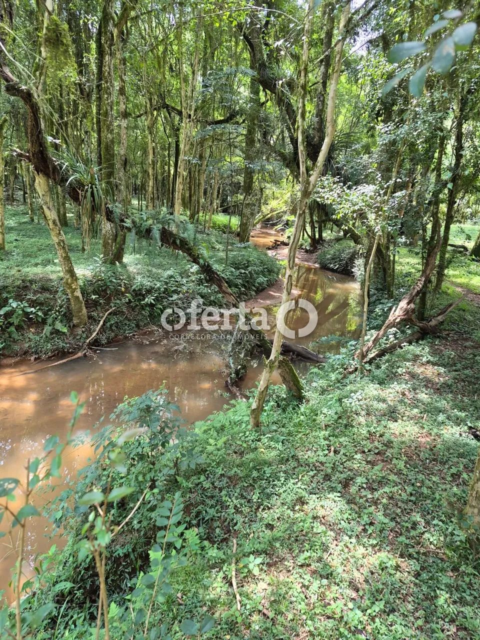 Chácara em Contenda - Foto 5