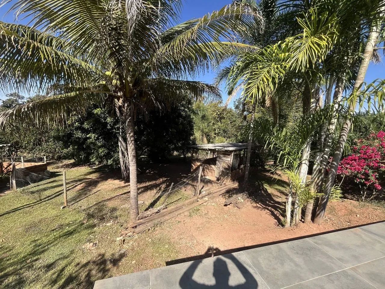 Chácara com casa, piscina, curral e frutíferas em meio à natureza - Foto 3