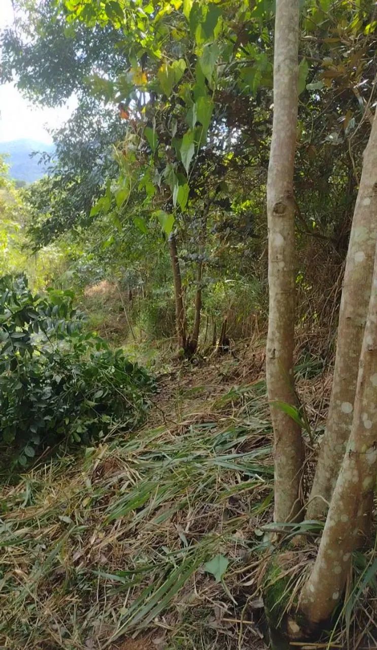 Terreno em Duas Barras - Municipio de Anchieta - ES - Foto 3