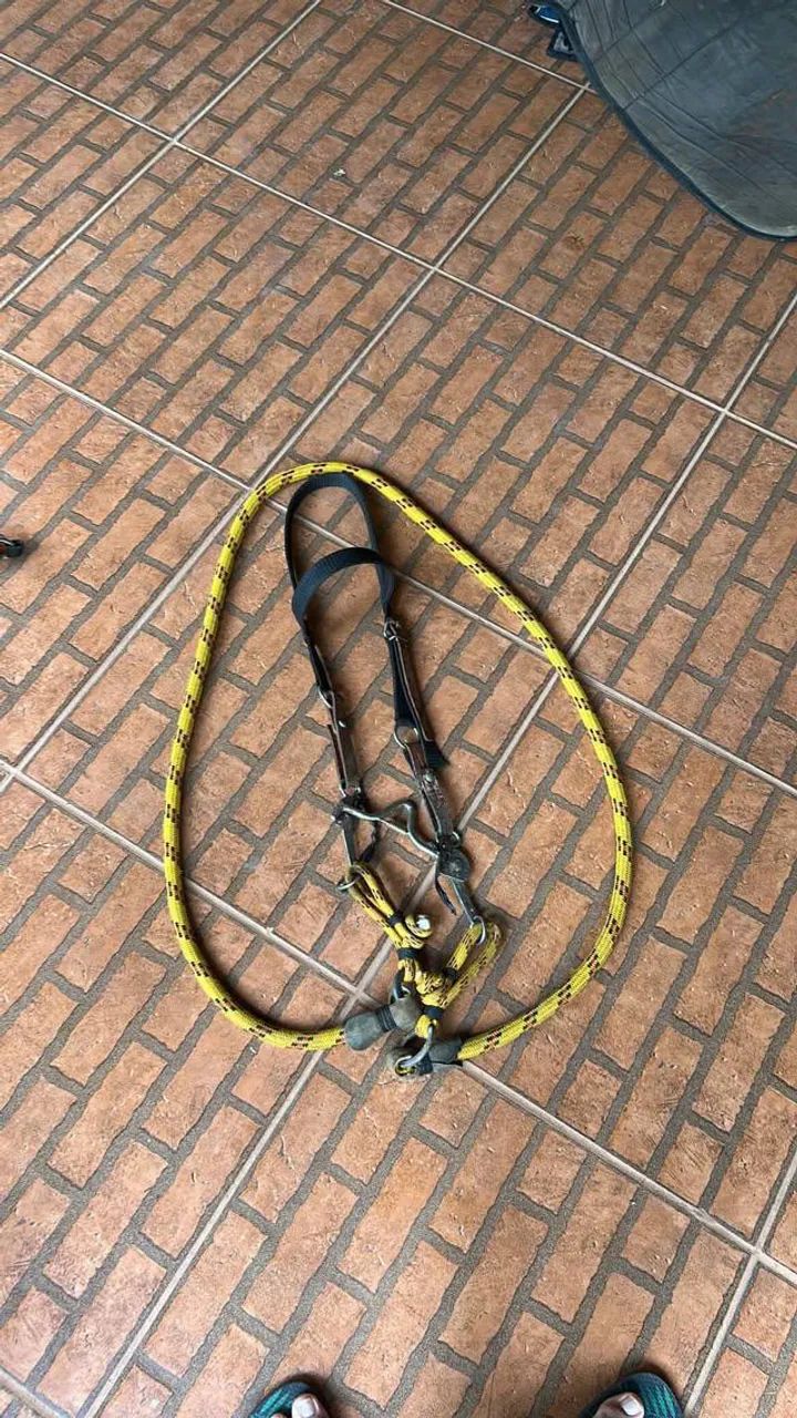 Vendo sela de vaquejada original de competição com cabeçada freio e baxeiro - Foto 4