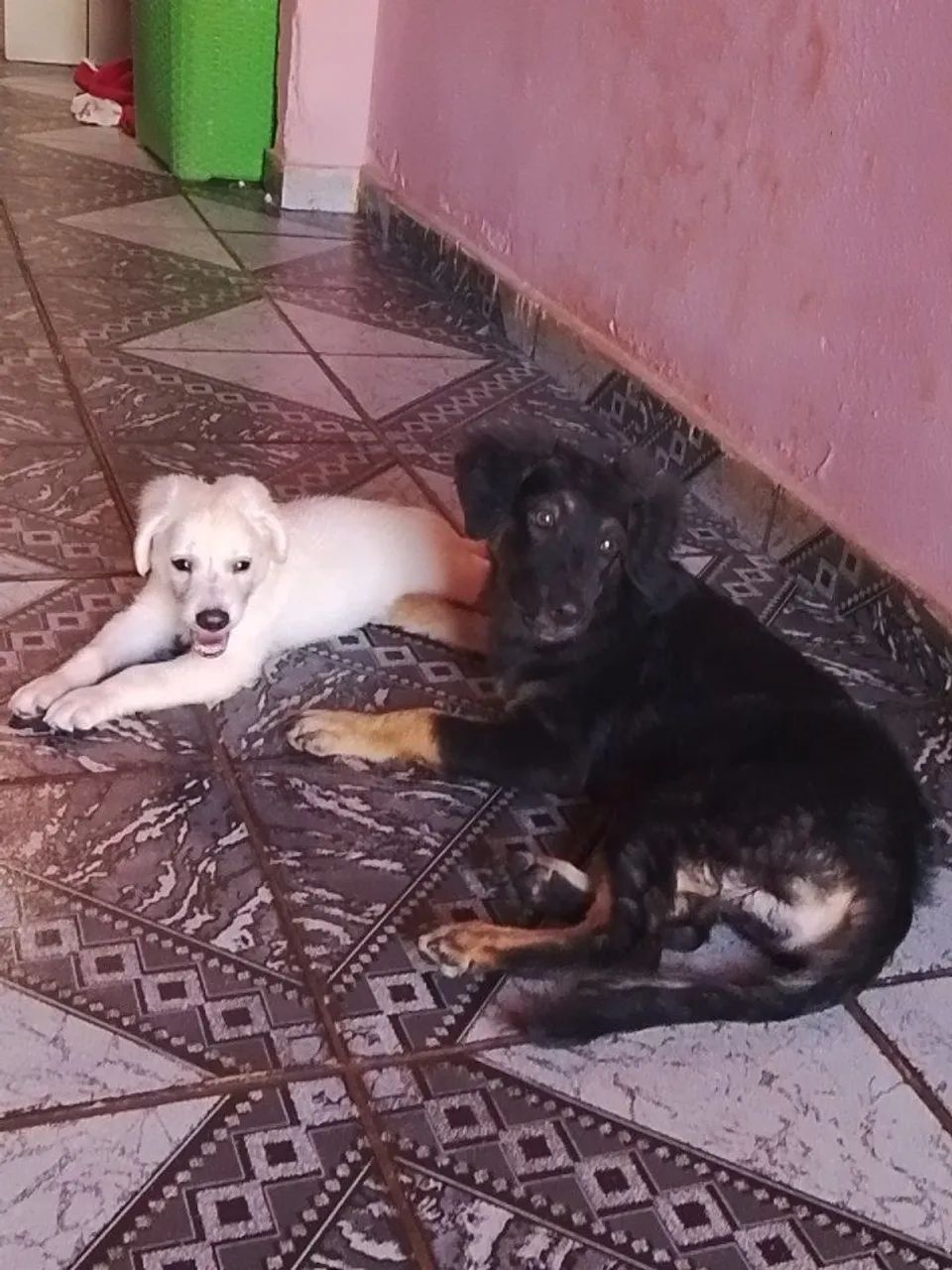 Doação 