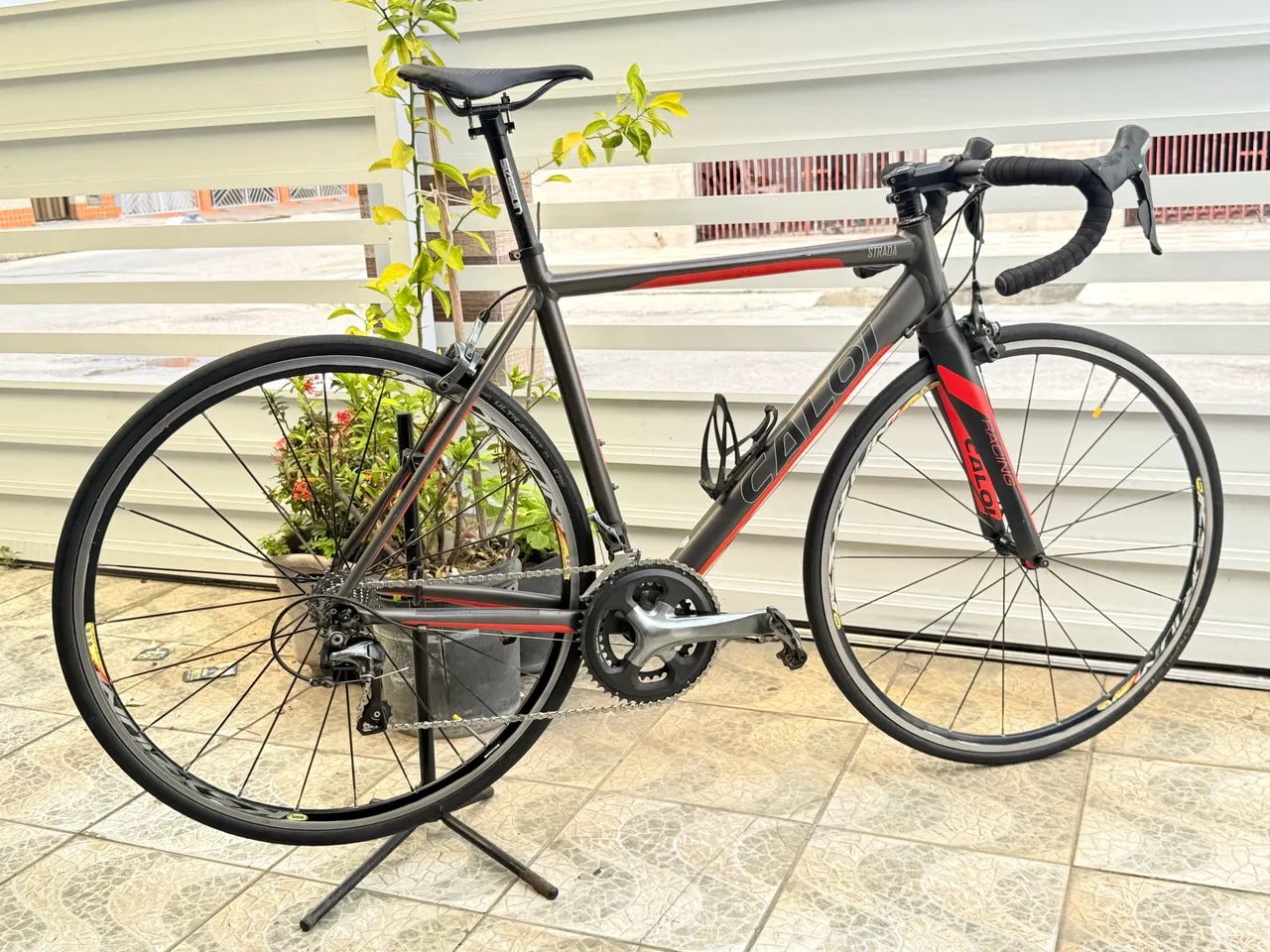 Speed Caloi racing TAM M fechada no tiagra 