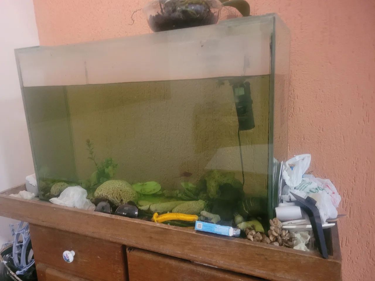 Aquario - Foto 2