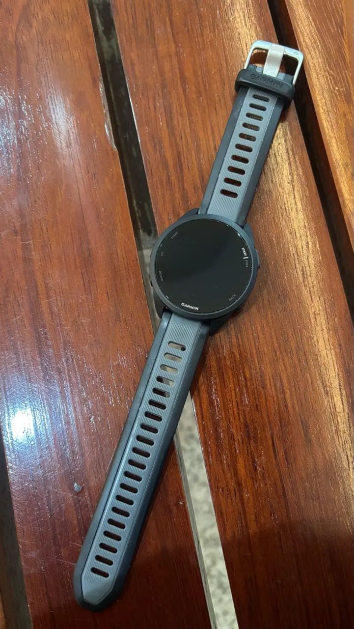 Garmin 165 music