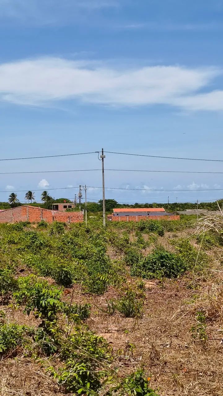 Lote a venda - Foto 3