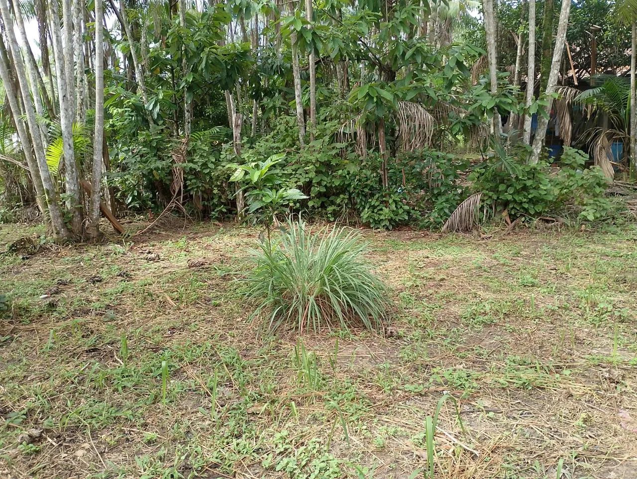 Vendo Casa  - Foto 4
