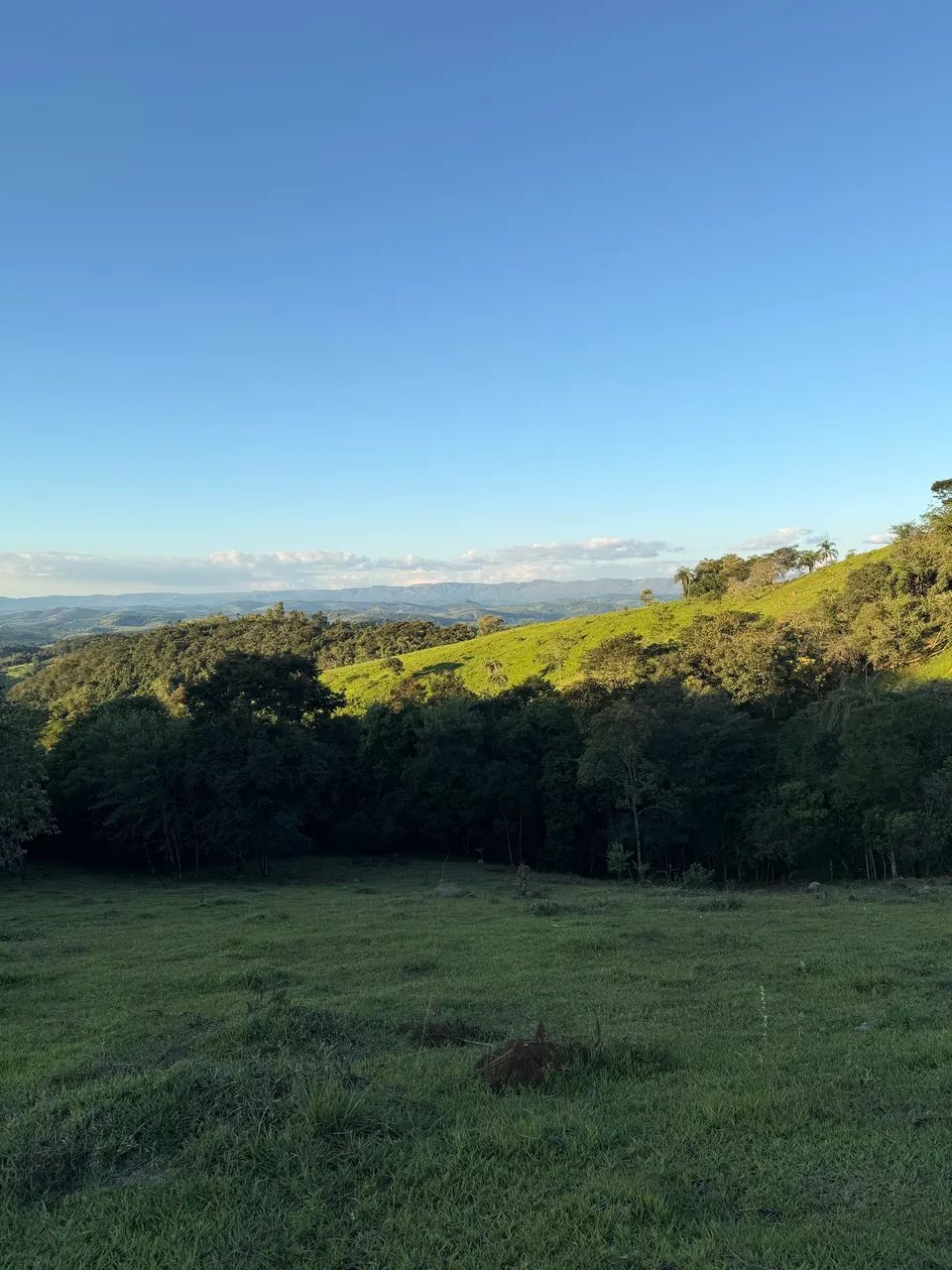 FAZENDINHA DE 2,5 HECTARES EM BONFIM/MG - Foto 3