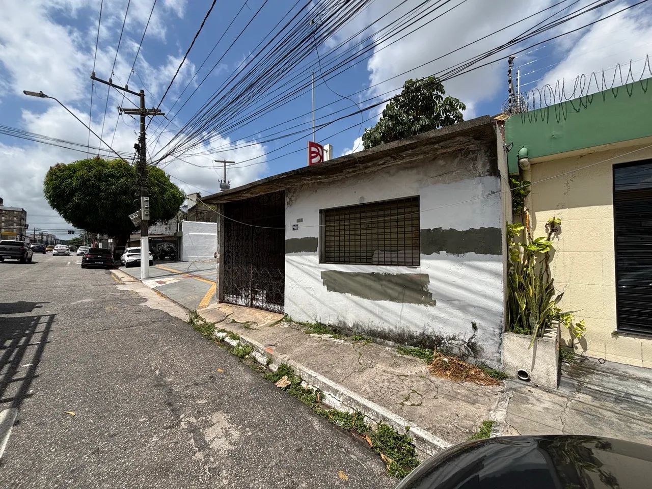 Tavares Bastos ao lado do Bampará - Foto 2