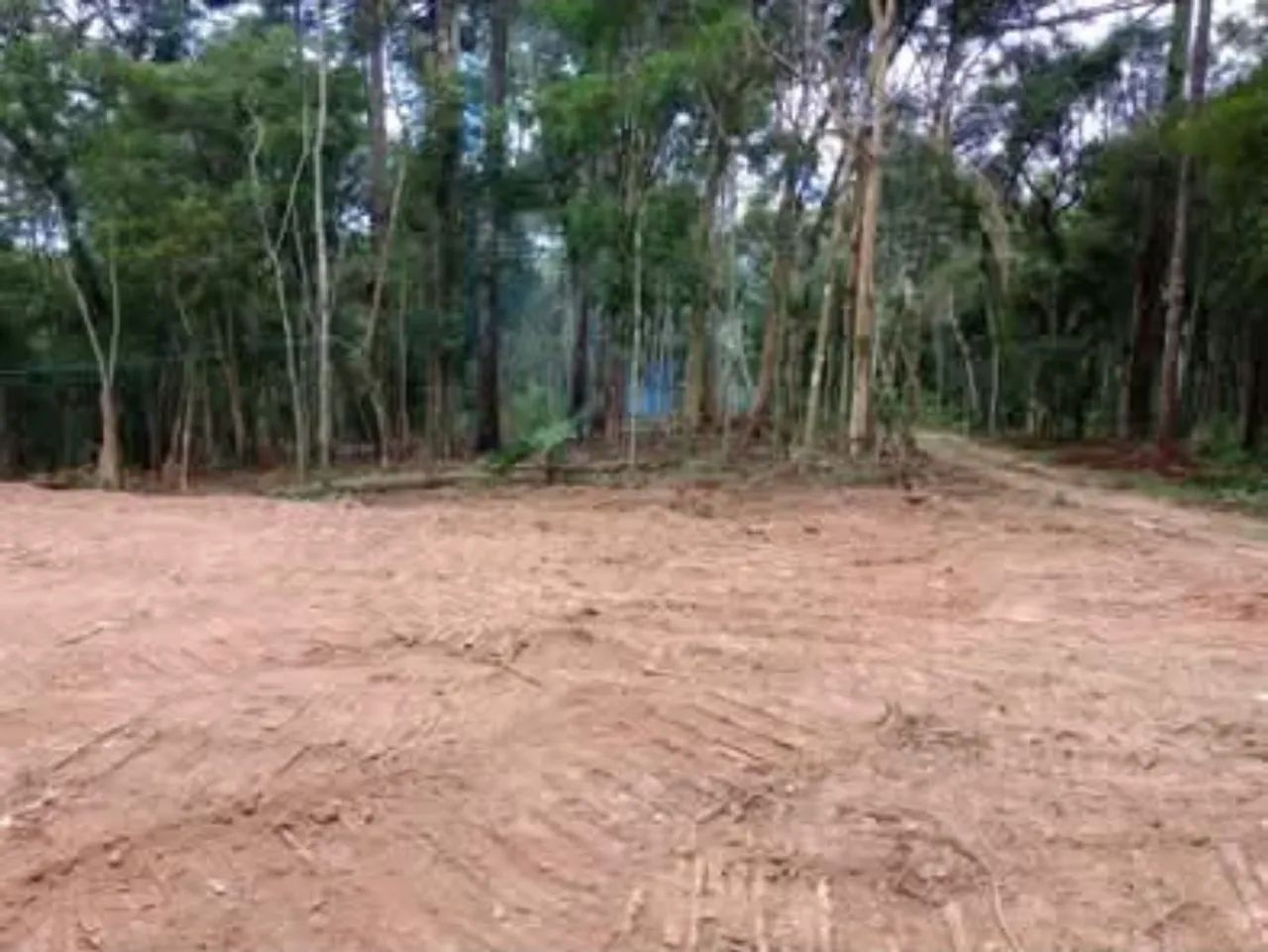 Vendo terreno para formar chácara, entrada mais parcelas - Foto 3