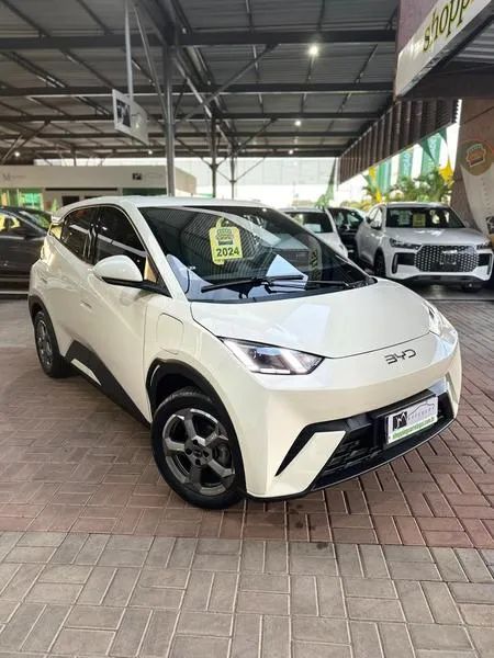 BYD Dolphin Mini (Elétrico) 2024 - Foto 3